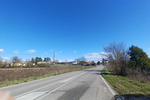 Terra a Pofi, Frosinone, Pofi - € 230.000 | Ref: 2167 - foto 5