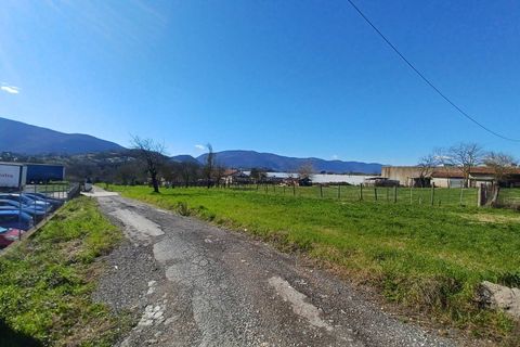 Terra a Pofi, Frosinone, Pofi - € 230.000 | Ref: 2167 - foto 7