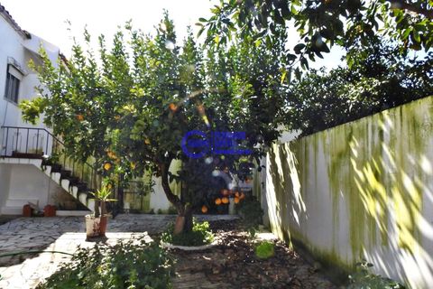 Villa i Cuba, Beja, Cuba - € 495.000 | Ref: FS225 - foto 12
