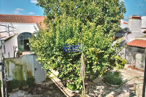 Villa i Cuba, Beja, Cuba - € 495.000 | Ref: FS225 - foto 40