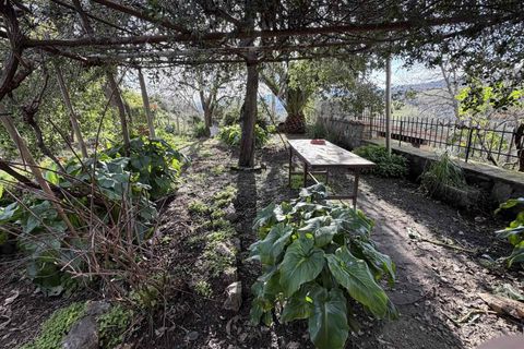 Farm hus i Roccastrada, Grosseto, Roccastrada - € 500.000 | Ref: a11201rc65388 - foto 2