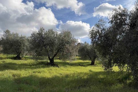 Farm hus i Roccastrada, Grosseto, Roccastrada - € 500.000 | Ref: a11201rc65388 - foto 14