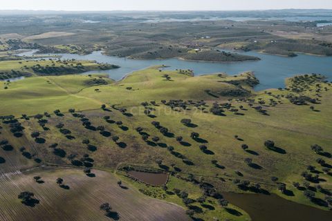 Helårsgrund i Moura, Beja, Moura - € 4.250.000 | Ref: C0484-00469 - foto 4