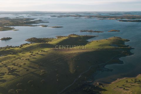 Helårsgrund i Moura, Beja, Moura - € 4.250.000 | Ref: C0484-00469 - foto 5