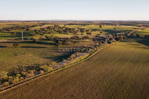Helårsgrund i Moura, Beja, Moura - € 4.250.000 | Ref: C0484-00469 - foto 6