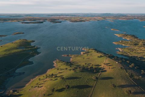 Helårsgrund i Moura, Beja, Moura - € 4.250.000 | Ref: C0484-00469 - foto 7