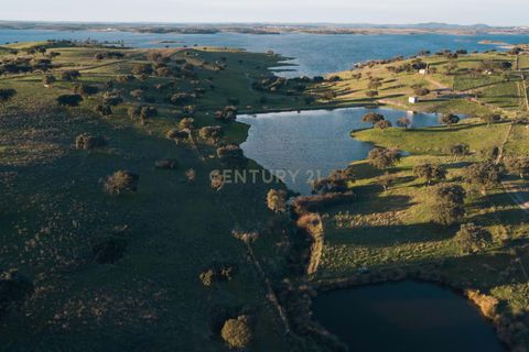 Helårsgrund i Moura, Beja, Moura - € 4.250.000 | Ref: C0484-00469 - foto 8