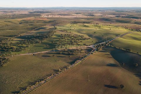 Helårsgrund i Moura, Beja, Moura - € 4.250.000 | Ref: C0484-00469 - foto 9