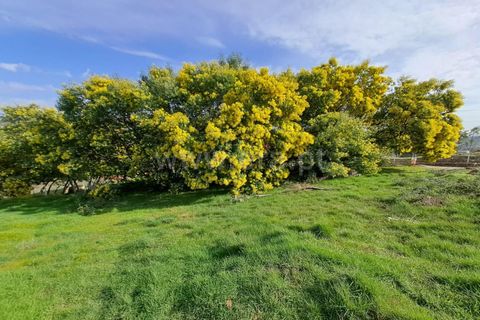 Helårsgrund i Belmonte, Castelo Branco, Belmonte - € 25.000 | Ref: 394260027 - foto 4
