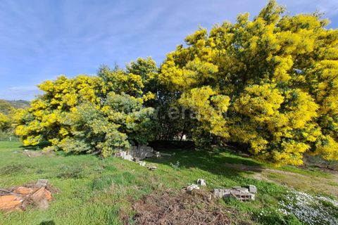 Helårsgrund i Belmonte, Castelo Branco, Belmonte - € 25.000 | Ref: 394260027 - foto 5