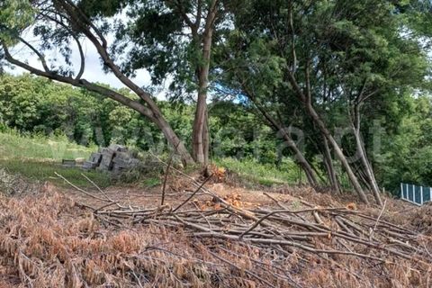Helårsgrund i Belmonte, Castelo Branco, Belmonte - € 25.000 | Ref: 394260027 - foto 8