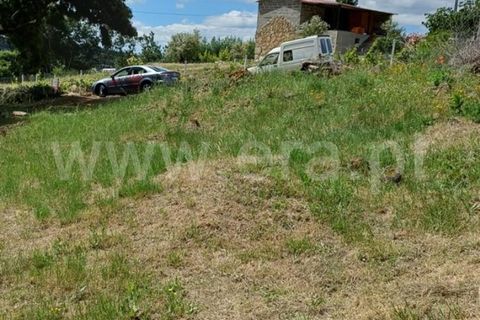 Helårsgrund i Belmonte, Castelo Branco, Belmonte - € 25.000 | Ref: 394260027 - foto 12