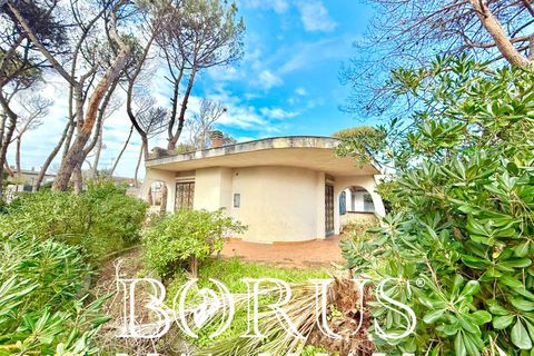 Villa i Cellole, Caserta, Cellole - € 350.000 | Ref: BR313 - foto 2