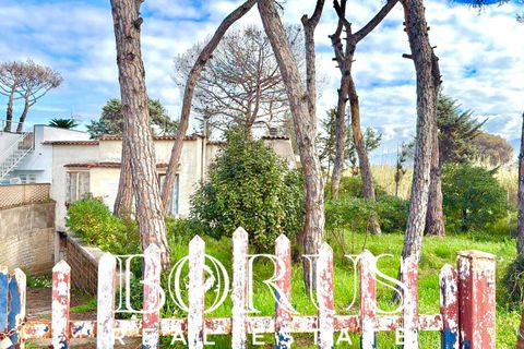 Villa i Cellole, Caserta, Cellole - € 350.000 | Ref: BR313 - foto 3