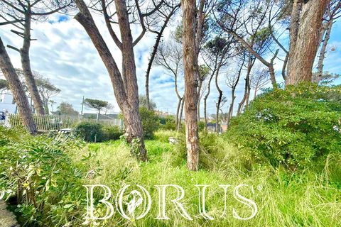 Villa i Cellole, Caserta, Cellole - € 350.000 | Ref: BR313 - foto 6