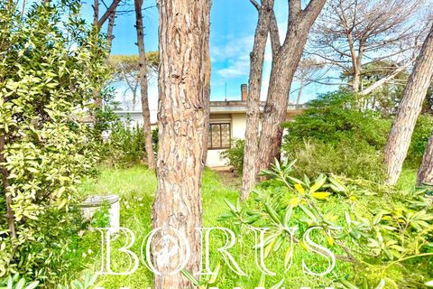 Villa i Cellole, Caserta, Cellole - € 350.000 | Ref: BR313 - foto 13