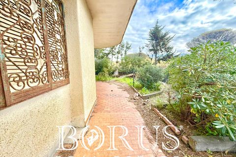 Villa i Cellole, Caserta, Cellole - € 350.000 | Ref: BR313 - foto 17