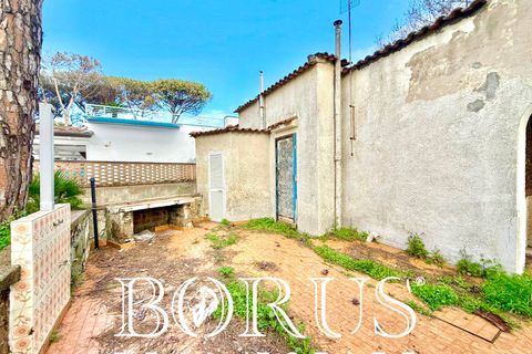 Villa i Cellole, Caserta, Cellole - € 350.000 | Ref: BR313 - foto 22