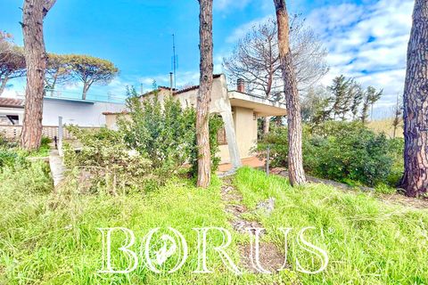 Villa i Cellole, Caserta, Cellole - € 350.000 | Ref: BR313 - foto 23