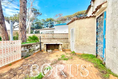 Villa i Cellole, Caserta, Cellole - € 350.000 | Ref: BR313 - foto 26
