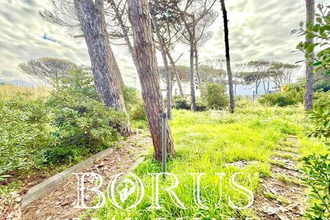Villa i Cellole, Caserta, Cellole - € 350.000 | Ref: BR313 - foto 29