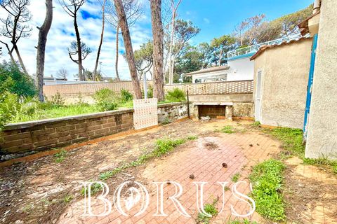Villa i Cellole, Caserta, Cellole - € 350.000 | Ref: BR313 - foto 34