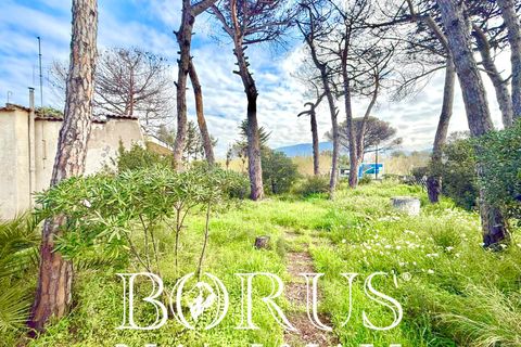 Villa i Cellole, Caserta, Cellole - € 350.000 | Ref: BR313 - foto 35