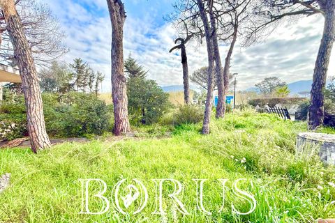 Villa i Cellole, Caserta, Cellole - € 350.000 | Ref: BR313 - foto 36