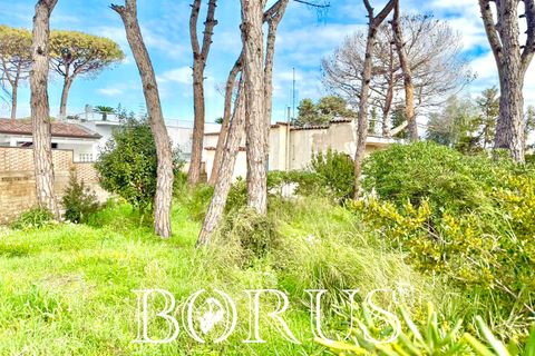 Villa i Cellole, Caserta, Cellole - € 350.000 | Ref: BR313 - foto 44