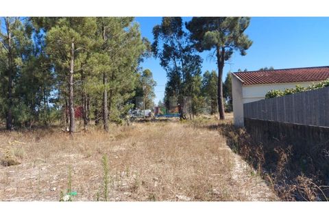 Helårsgrund i Quinta do Anjo, Setubal, Quinta do Anjo - € 86.000 | Ref: UNU.I.1381.18585 - foto 1