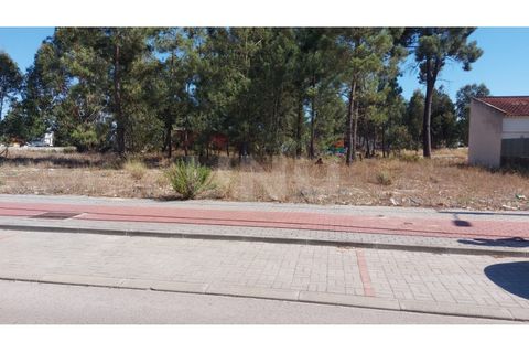 Helårsgrund i Quinta do Anjo, Setubal, Quinta do Anjo - € 86.000 | Ref: UNU.I.1381.18585 - foto 5