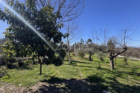 Villa i Mangualde, Viseu, Mangualde - € 285.000 | Ref: ZMPT585612 - foto 23