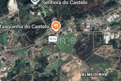 Villa i Mangualde, Viseu, Mangualde - € 285.000 | Ref: ZMPT585612 - foto 29