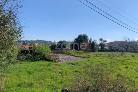 Villa i Viseu, Viseu, Viseu - € 284.000 | Ref: ZMPT575730 - foto 8