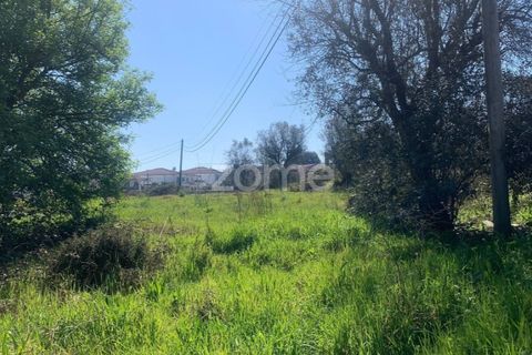 Villa i Viseu, Viseu, Viseu - € 284.000 | Ref: ZMPT575730 - foto 10