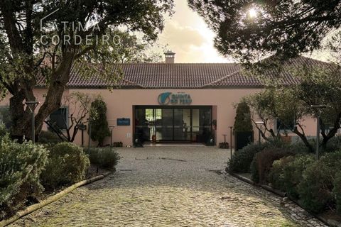 Villa i Quinta do Conde, Setubal, Quinta do Conde - € 1.750.000 | Ref: 15.26 - foto 44