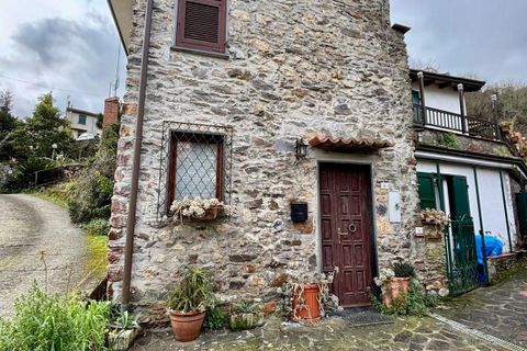 Byhus i Ameglia, La Spezia, Ameglia - € 130.000 | Ref: 1232 - foto 3