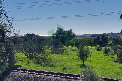 Villa i Tavira, Faro, Tavira - € 745.000 | Ref: CAS_579 - foto 32