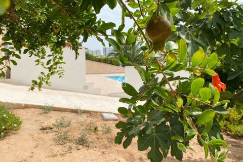 Villa a Torrevieja, Alicante, Torrevieja - € 2.100/mes | Ref: CHA0079 - foto 16