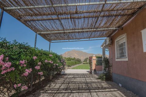 Landejendom i Orihuela, Alicante, Orihuela - € 379.950 | Ref: 50552 - foto 4