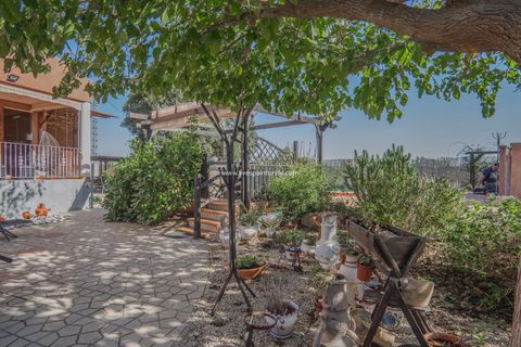 Landejendom i Orihuela, Alicante, Orihuela - € 379.950 | Ref: 50552 - foto 30