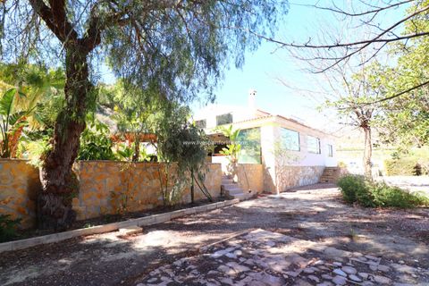 Landejendom i Aspe, Alicante, Aspe - € 1.700.000 | Ref: VRE-99578 - foto 41