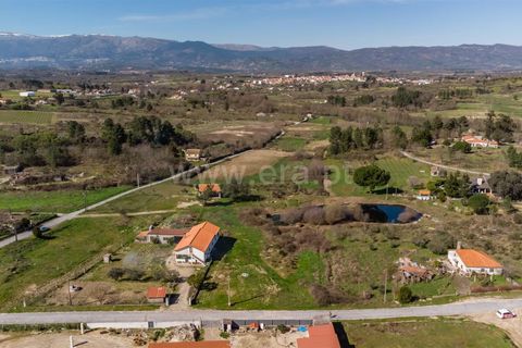 Terra a Belmonte, Castelo Branco, Belmonte - € 28.500 | Ref: 111260048 - foto 2