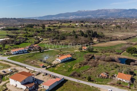 Terra a Belmonte, Castelo Branco, Belmonte - € 28.500 | Ref: 111260048 - foto 3