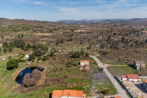 Terra a Belmonte, Castelo Branco, Belmonte - € 28.500 | Ref: 111260048 - foto 6