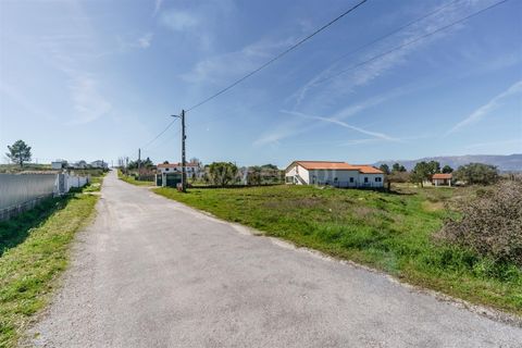 Terra a Belmonte, Castelo Branco, Belmonte - € 28.500 | Ref: 111260048 - foto 8