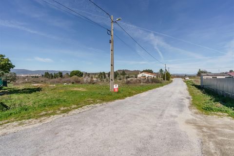 Terra a Belmonte, Castelo Branco, Belmonte - € 28.500 | Ref: 111260048 - foto 9