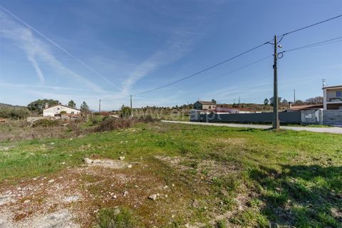 Terra a Belmonte, Castelo Branco, Belmonte - € 28.500 | Ref: 111260048 - foto 12