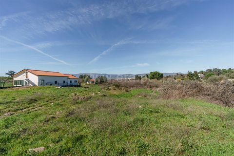 Terra a Belmonte, Castelo Branco, Belmonte - € 28.500 | Ref: 111260048 - foto 13