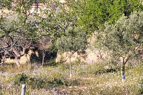 Helårsgrund i Relleu, Alicante, Relleu - € 435.000 | Ref: be8a8095-d297-45b8-8 - foto 6